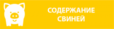 fermy-dl-svinej-3567